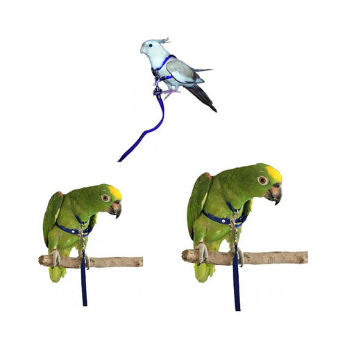 Pet Bird Harness