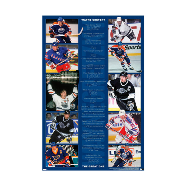 Wayne Gretzky Stats Poster (61x91.5cm)