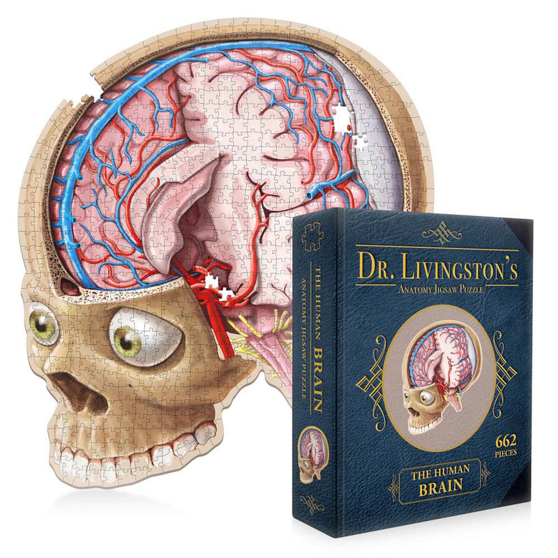 Dr. Livingston's Anatomy Jigsaw Puzzle