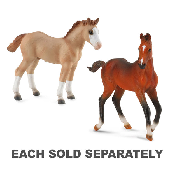 CollectA Quarter Foal Figure (Medium)