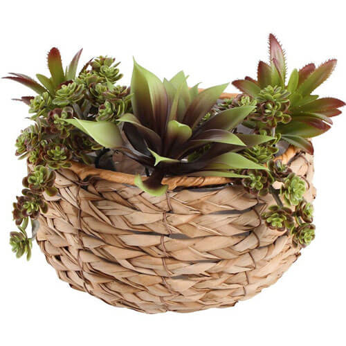 Malo Planter Bowls Set of 2 (Large 26x15cm)