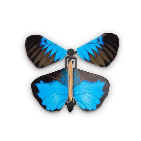 Wind-Up Australian Butterflies