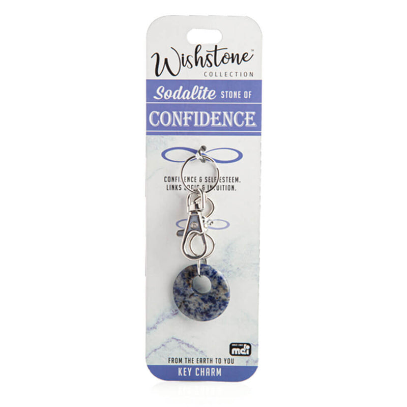 Wishstone Collection Sodalite Key Charm